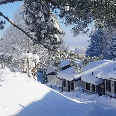 펜션 Am Hochbergle Haus 111 렉브룩